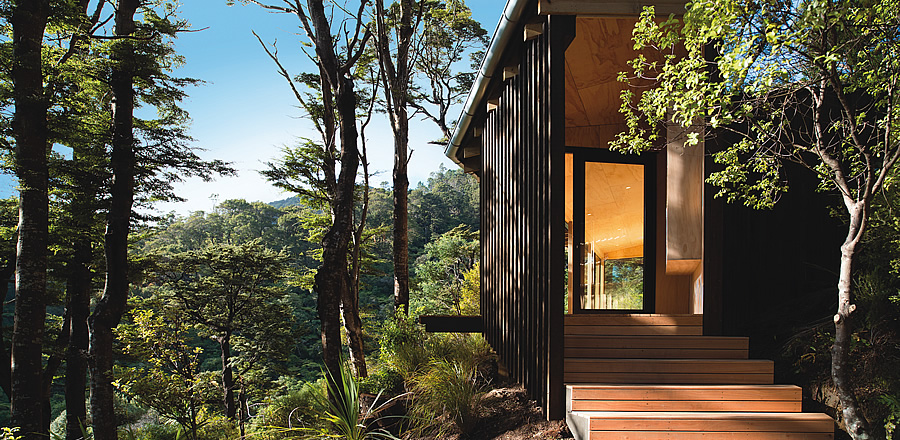 Days Bay Yoga Studio